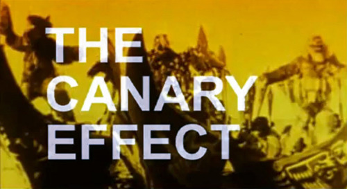 the canary effect