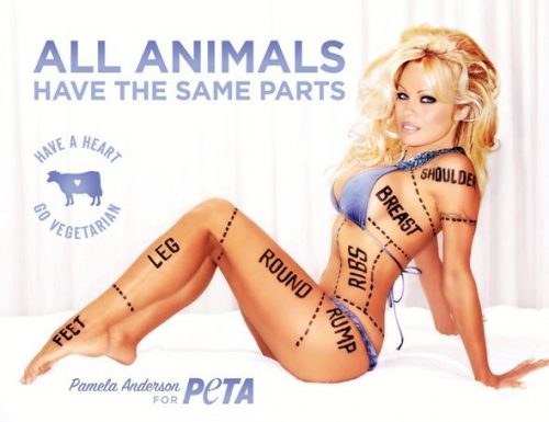 a-scantily-clad-pamela-anderson-starred-in-this-ad-which-was-banned-in-montreal-because-it-was-sexist